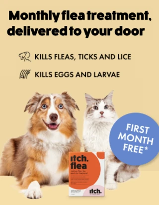 Itch Pet