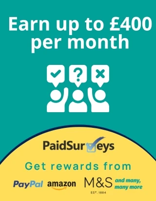 Paid Surveys