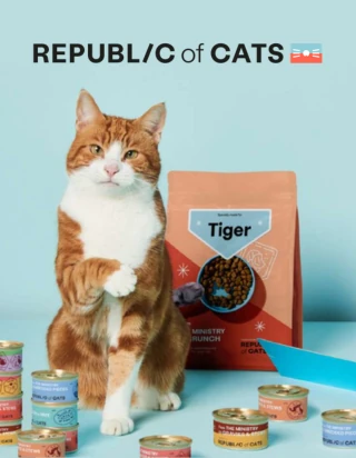 Republic of Cats